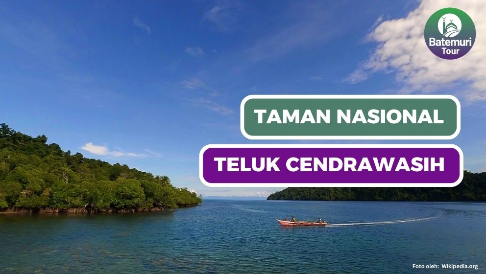 Taman Nasional Teluk Cendrawasih Nabire Papua